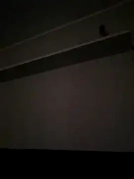 NibbleSweetie online show from December 13, 8:47 pm