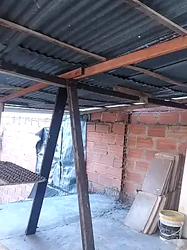 hoteder online show from November 25, 11:54 am