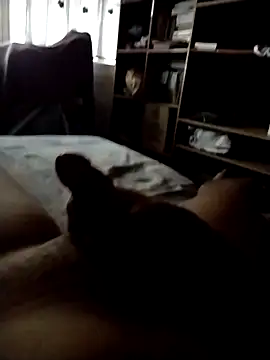 CadencedMimesis online show from September 27, 8:30 am