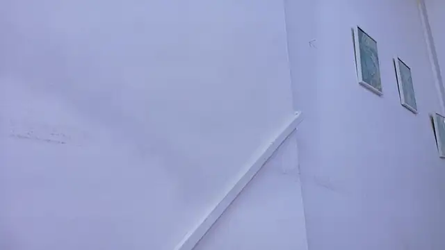 Lizbeth Rouse online show from November 8, 11:10 am