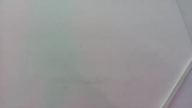 Lizbeth Rouse online show from November 21, 11:31 am