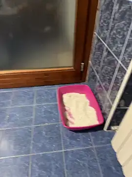 maialexte online show from April 27, 3:59 am