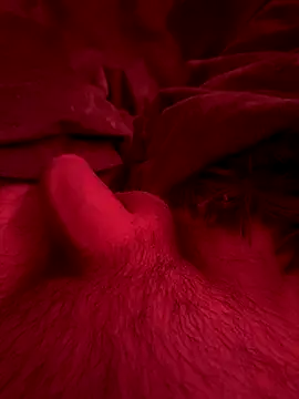 Snapshot of couplefuck__ chatting on December 16, 7:57 am couplefuck online show from December 16, 7:57 am