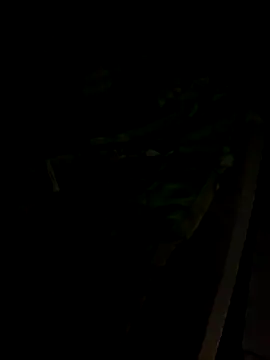 sr dias online show from November 13, 8:46 am