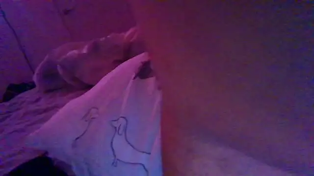 Snapshot of Shy_straightguy chatting on November 24, 5:01 pm Shy straightguy online show from November 24, 5:01 pm