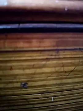 Snapshot of Shruti_Bhabhi38 chatting on November 1, 5:59 pm Shruti Bhabhi38 online show from November 1, 5:59 pm