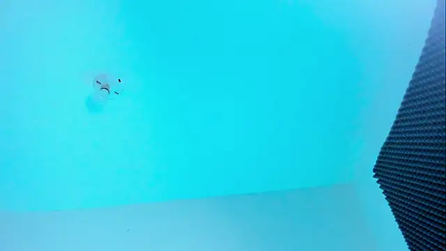 Snapshot of Ellope_ chatting on October 22, 11:04 pm Ellope online show from October 22, 11:04 pm