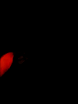 NoxiousFilename online show from December 22, 5:15 am