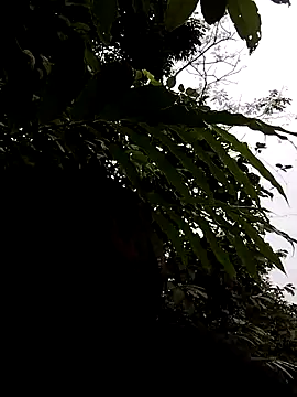 linda bae00 online show from November 5, 1:16 am