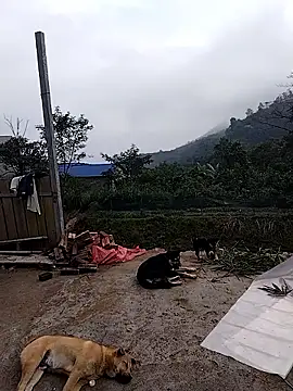 linda bae00 online show from December 19, 2:07 am