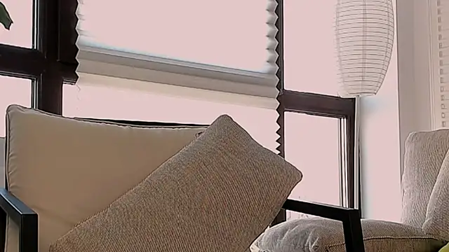 Snapshot of TalkingHead_0_ chatting on July 5, 5:36 am TalkingHead 0 online show from July 5, 5:36 am