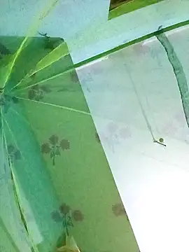 Apkisona8 online show from November 18, 5:06 pm