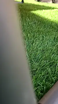 Snapshot of Worppp chatting on March 18, 2:31 pm Worppp online show from March 18, 2:31 pm