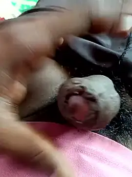 Snapshot of dolphiinn chatting on November 4, 5:28 am dolphiinn online show from November 4, 5:28 am