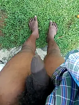 Snapshot of dolphiinn chatting on November 7, 2:33 am dolphiinn online show from November 7, 2:33 am