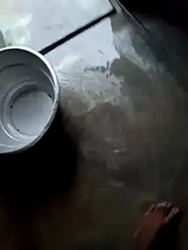 Snapshot of dolphiinn chatting on November 28, 1:08 am dolphiinn online show from November 28, 1:08 am