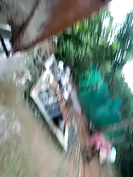 Snapshot of dolphiinn chatting on November 29, 1:41 am dolphiinn online show from November 29, 1:41 am