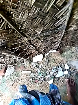 Snapshot of dolphiinn chatting on November 30, 4:27 am dolphiinn online show from November 30, 4:27 am