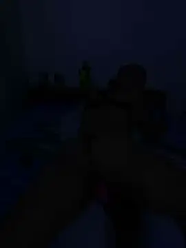 Snapshot of DALEX65 chatting on December 17, 6:47 pm DALEX65 online show from December 17, 6:47 pm