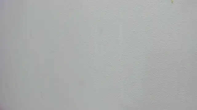 scarlett646 online show from November 15, 3:04 am