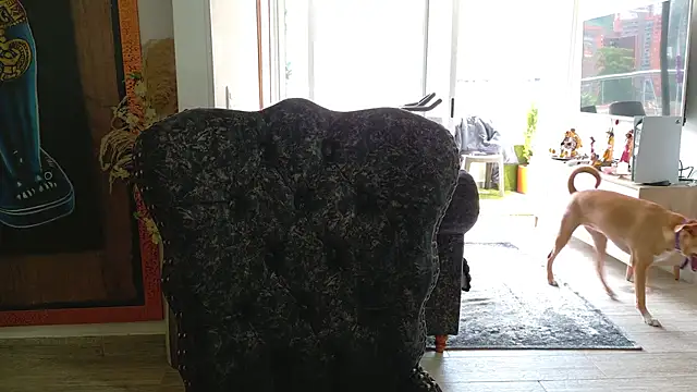 Snapshot of Sarahlove_90 chatting on October 26, 6:03 pm Sarahlove 90 online show from October 26, 6:03 pm