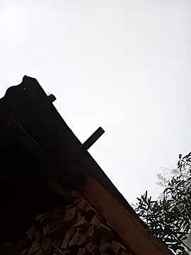 Ngocmi909 online show from January 16, 12:58 am