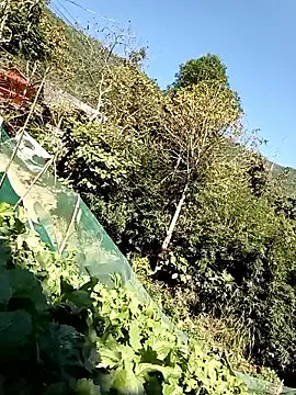 Maymay0033 online show from November 29, 4:59 am