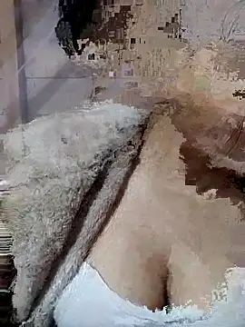 Binjt online show from November 19, 12:38 pm