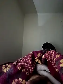 bomcasal online show from February 17, 11:00 pm