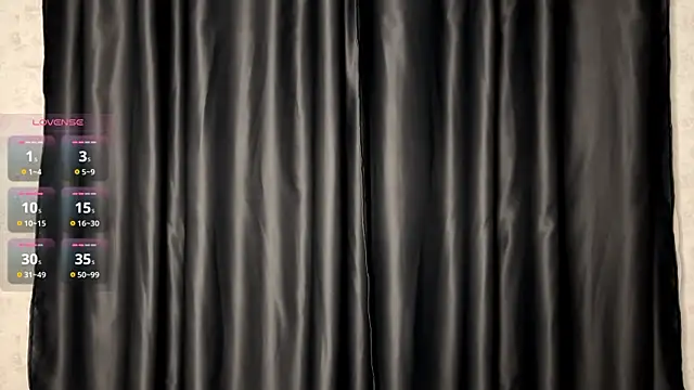 Snapshot of FakeLamb chatting on December 1, 9:09 pm FakeLamb online show from December 1, 9:09 pm