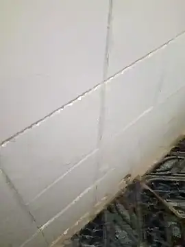 kelvinjesus34 online show from October 19, 6:36 am