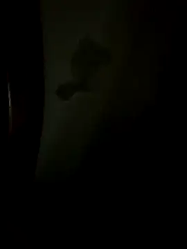 Snapshot of Bruno18cmmmmkk chatting on December 19, 3:46 am Bruno18cmmmmkk online show from December 19, 3:46 am