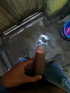 Snapshot of biswasb900 chatting on November 23, 11:54 am biswasb900 online show from November 23, 11:54 am