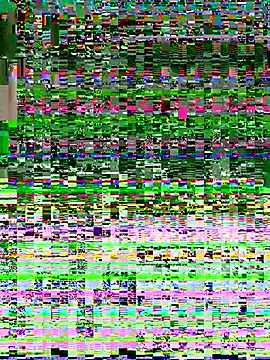 O o UwU o O online show from December 18, 2:12 pm