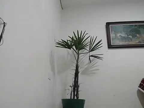 Snapshot of Young_handsome chatting on September 11, 1:28 am Young handsome online show from September 11, 1:28 am