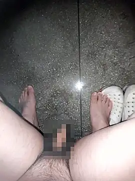 thcn12345 online show from January 8, 1:02 pm