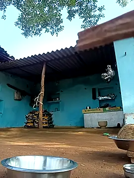 Hot-honi online show from November 2, 3:20 am