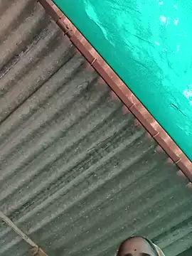 Hot-honi online show from November 12, 5:52 am