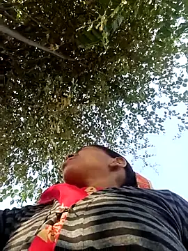 Hot-honi online show from November 17, 9:37 am