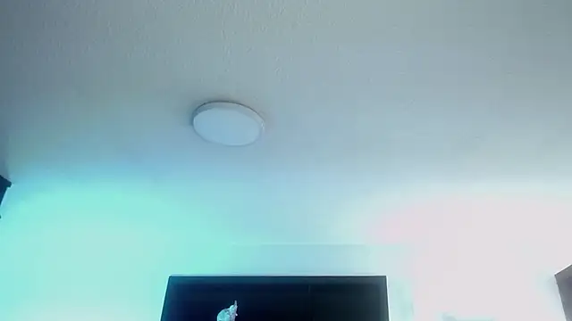  Charlotte Collins  online show from April 22, 2:51 pm
