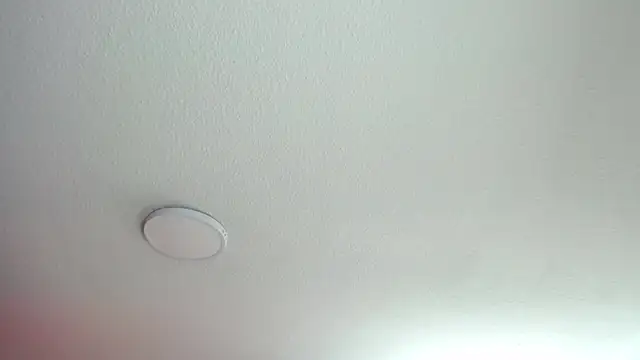 Charlotte Collins  online show from July 9, 4:33 pm