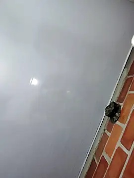 Perropa online show from February 27, 1:16 am