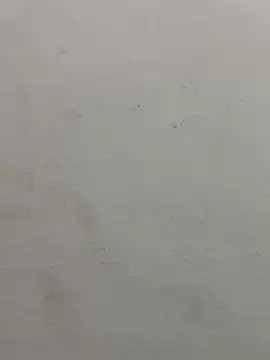 Snapshot of jully-jully chatting on September 24, 2:59 am jully-jully online show from September 24, 2:59 am