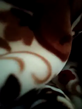 Hot pooja55 online show from February 11, 6:51 am