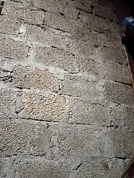 me-cute online show from December 16, 10:42 am