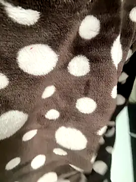 Snapshot of HeerStd chatting on November 17, 5:24 am HeerStd online show from November 17, 5:24 am