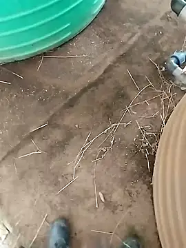 BigboyDick2 online show from October 20, 12:38 pm