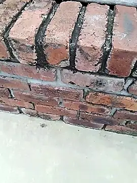 Snapshot of BigboyDick2 chatting on November 14, 9:08 am BigboyDick2 online show from November 14, 9:08 am