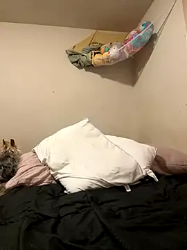 Snapshot of VanessaRose5362 chatting on October 14, 2:29 pm VanessaRose5362 online show from October 14, 2:29 pm