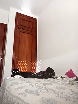 Snapshot of oscartres chatting on November 2, 3:25 pm oscartres online show from November 2, 3:25 pm